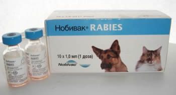  Rabies (Nobivac)