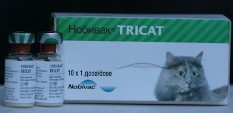    Tricat